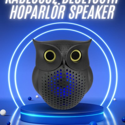 Müzik Çalar Bluetooth Hoparlör Speaker 5.0 Kablosuz Baykuş Görünümlü