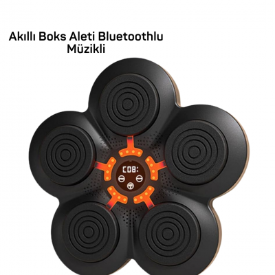 MÜZİK BOX MAKİNESİ