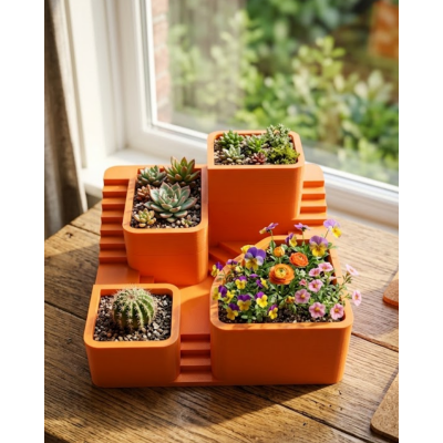 3D Kaktüs Saksı Seti Çok Bölmeli Modern Dekoratif Masaüstü Bitki Standı