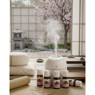 Taşınabilir Hava Nemlendirici LED Gece Işıklı USB Difüzör 5 Esans